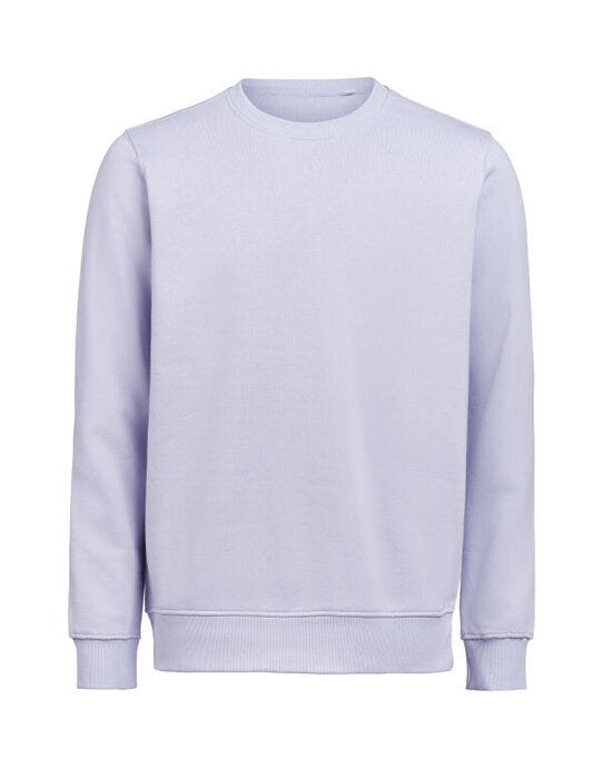 variant-colour: Aster